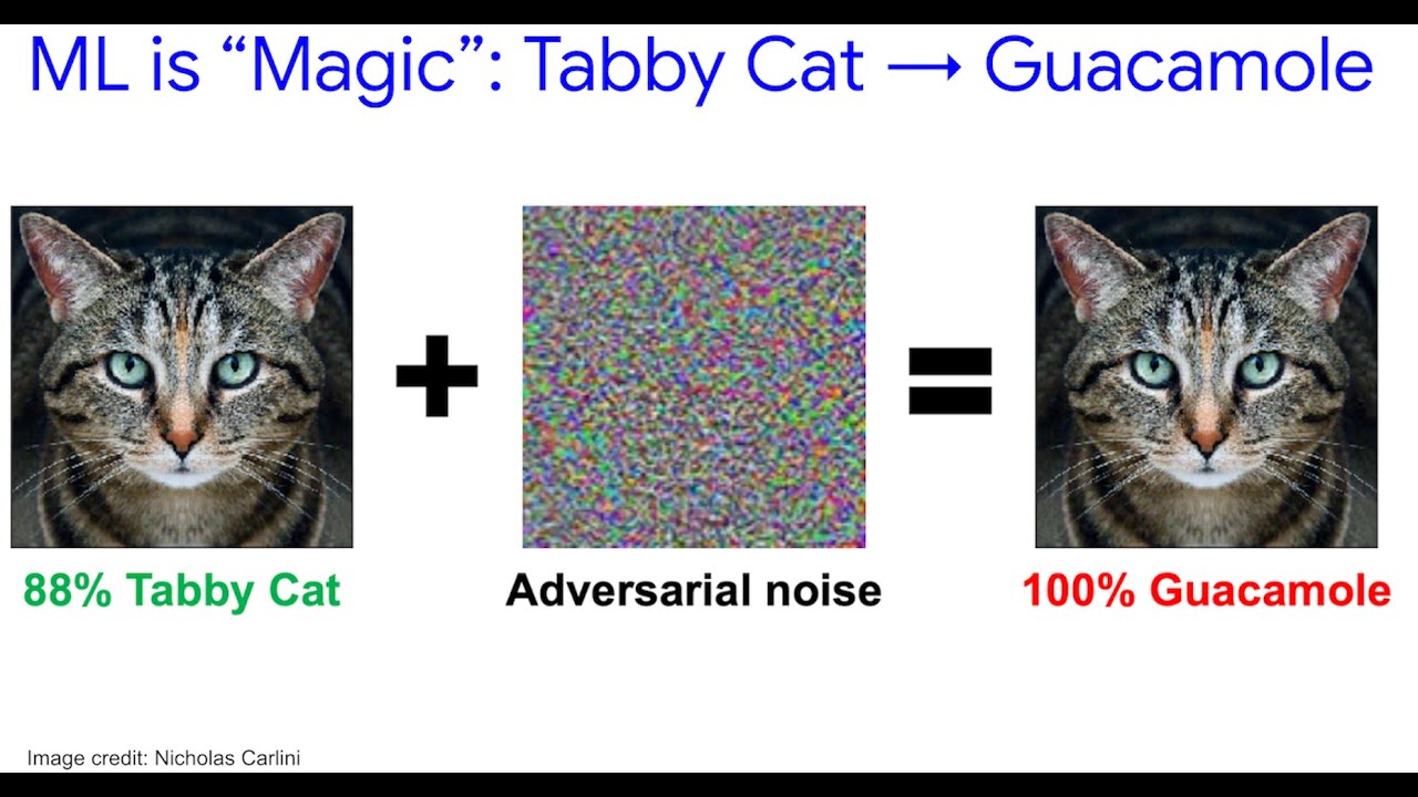 Adversarial Cat